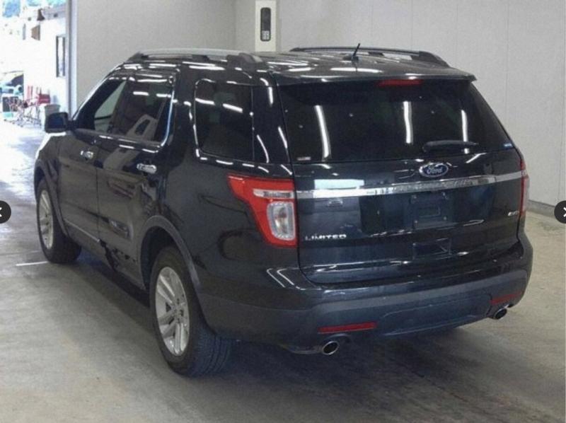 Фото донора 4