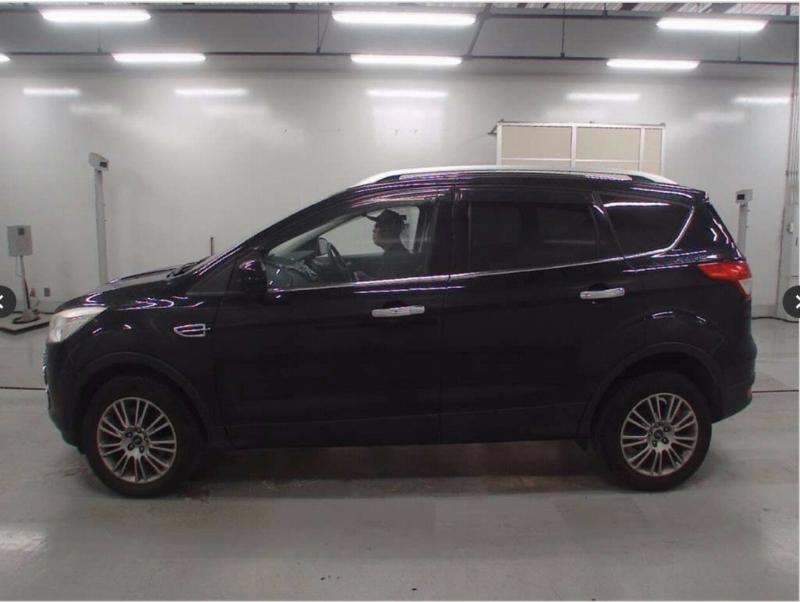 Фото донора 4