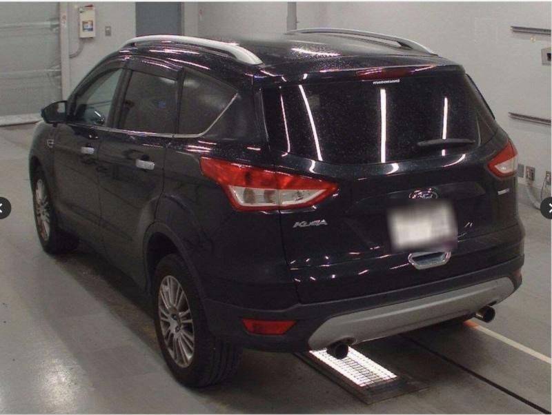 Фото донора 6