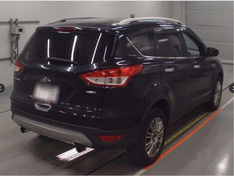 Фото донора 7