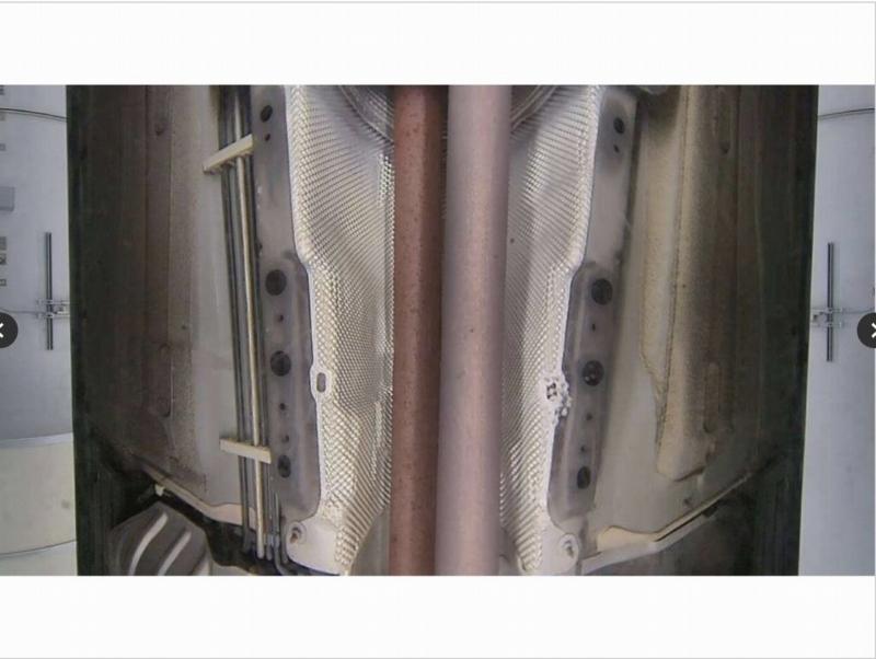 Фото донора 12