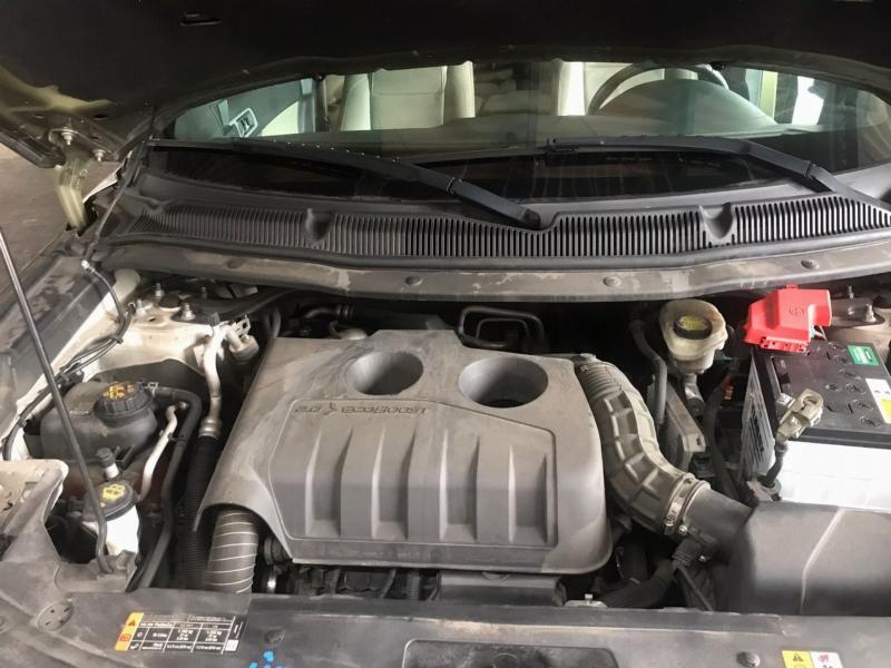 Фото донора 7