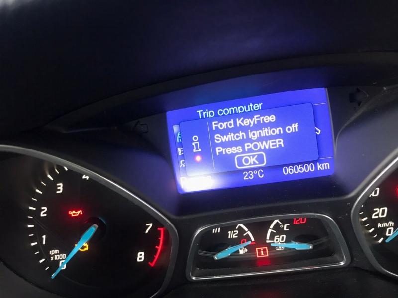 Фото донора 7