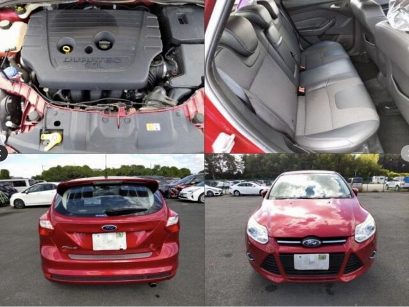 Фото донора 6