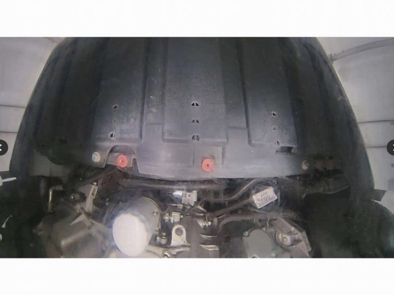 Фото донора 14