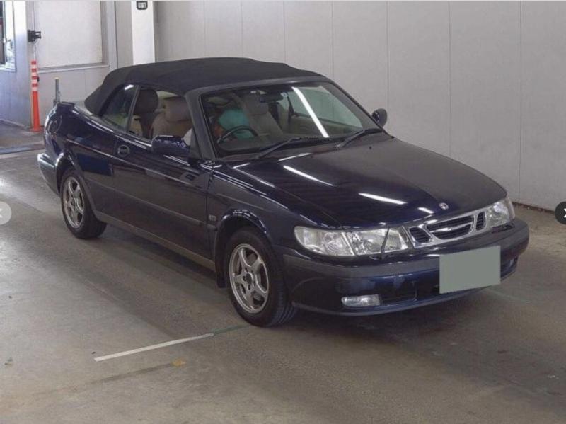 Фото донора 3