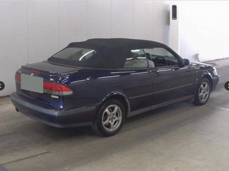 Фото донора 5