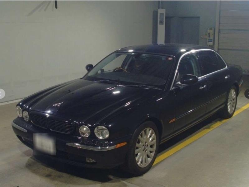 Фото донора 1