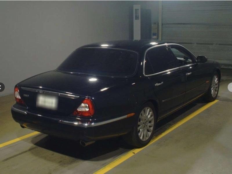 Фото донора 3