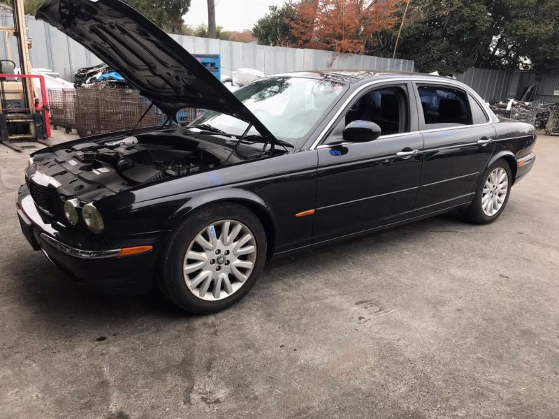 Фото донора 5