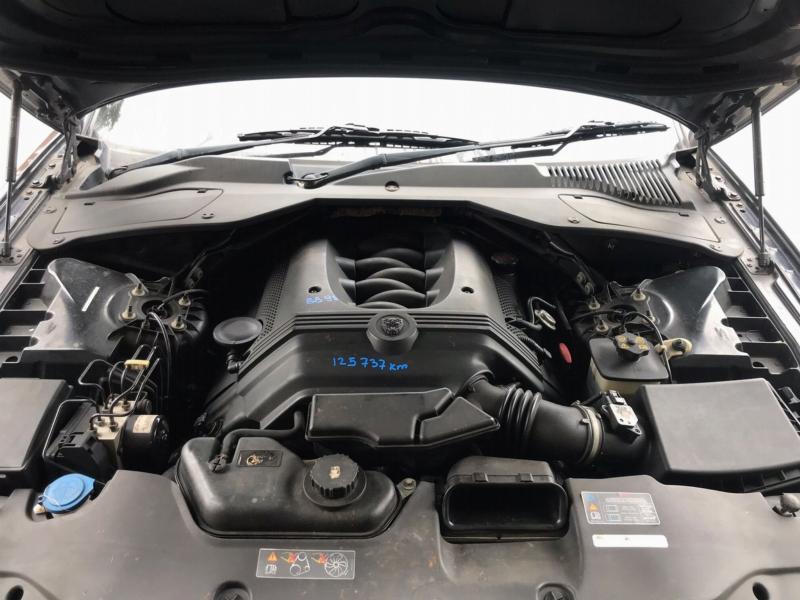 Фото донора 6