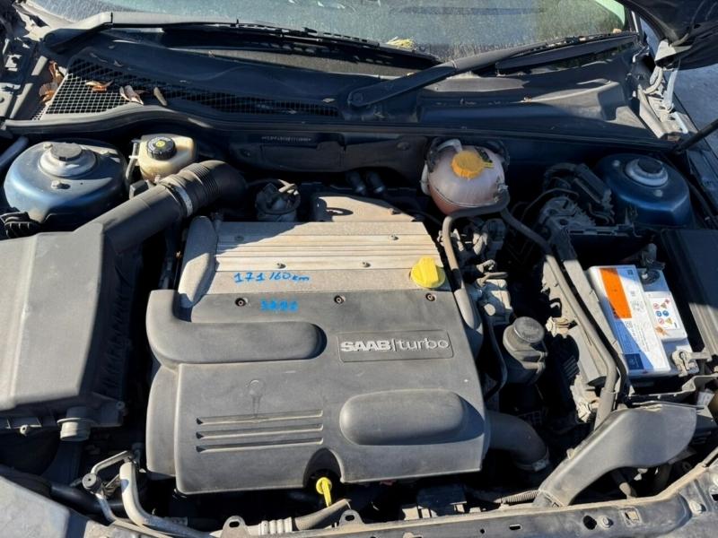 Фото донора 10