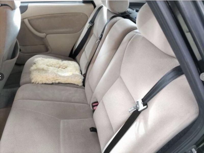 Фото донора 8