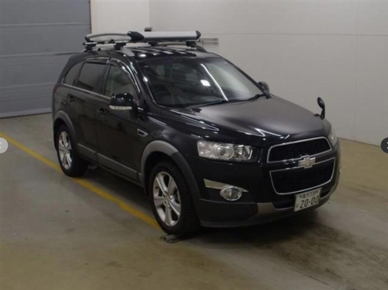 Фото донора 3