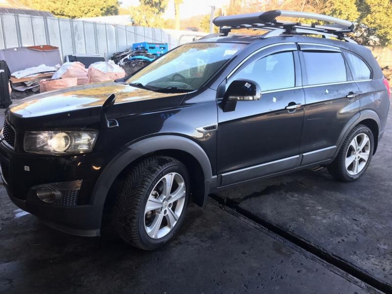 Фото донора 11