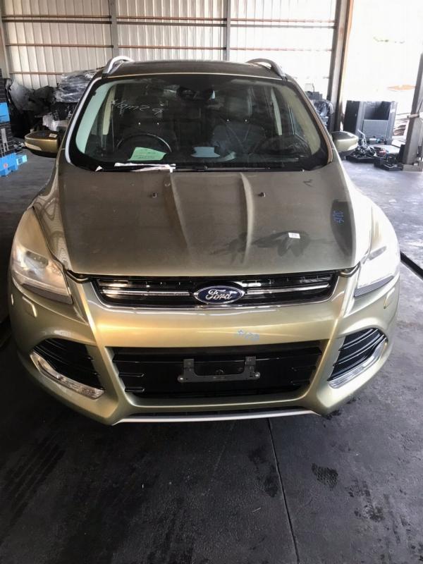 Фото донора 12