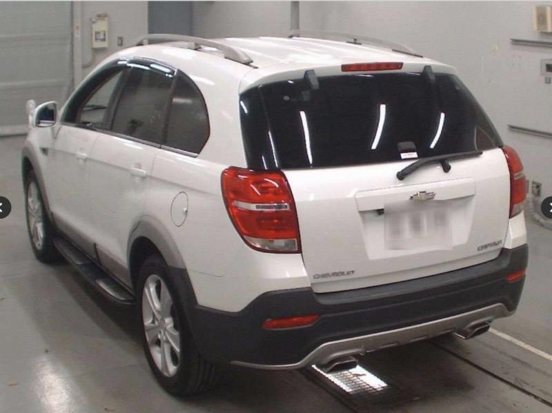 Фото донора 5