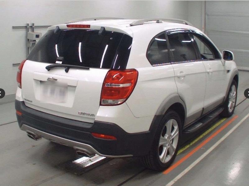 Фото донора 6