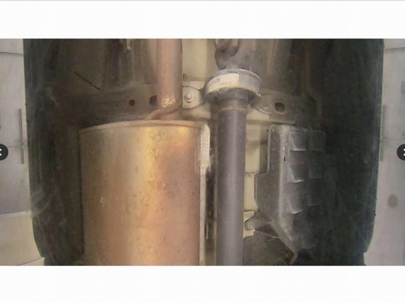 Фото донора 13