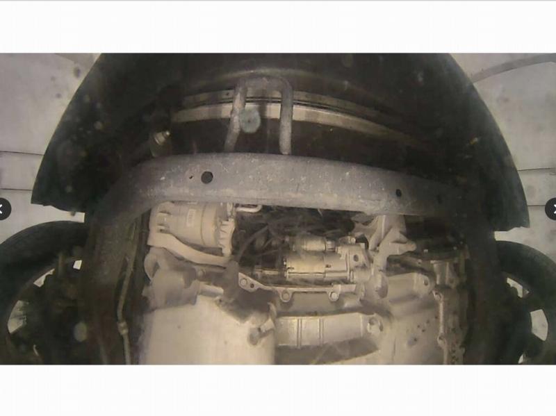 Фото донора 14