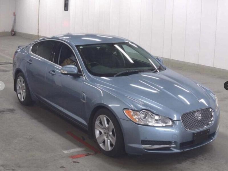 Фото донора 1