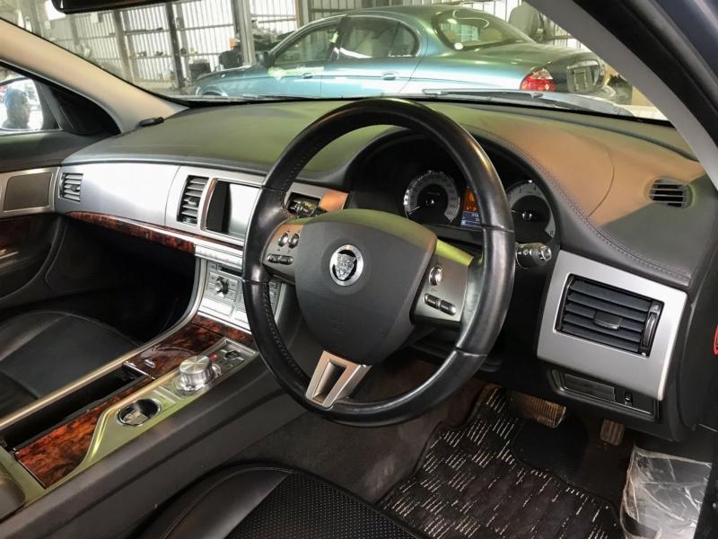 Фото донора 11