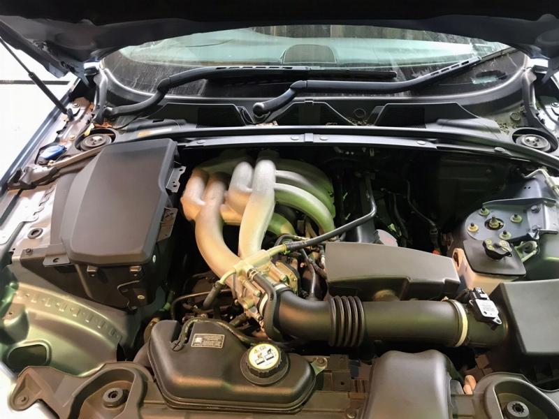 Фото донора 13