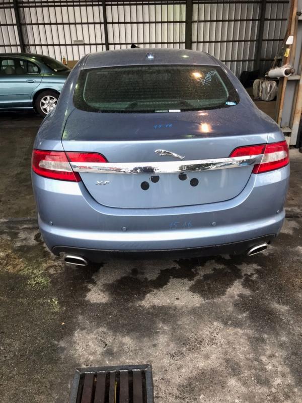 Фото донора 17