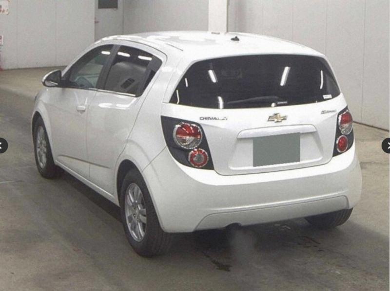 Фото донора 4