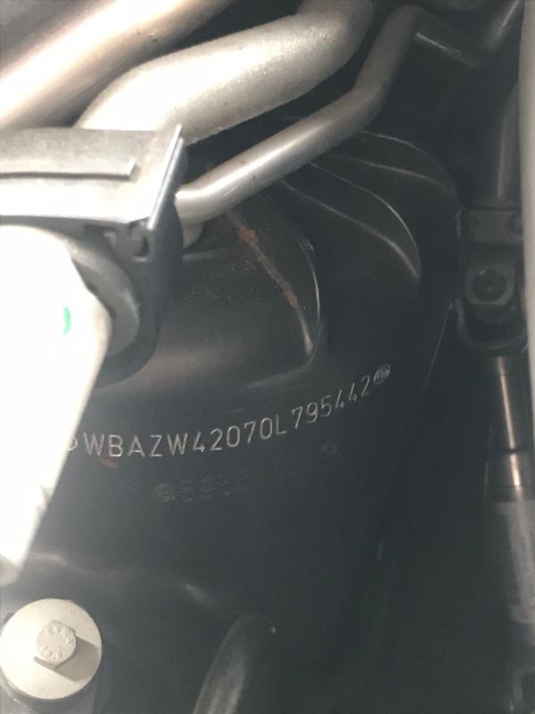 Фото донора 11