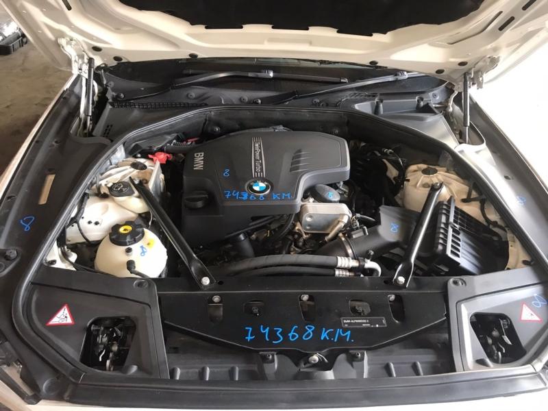 Фото донора 6