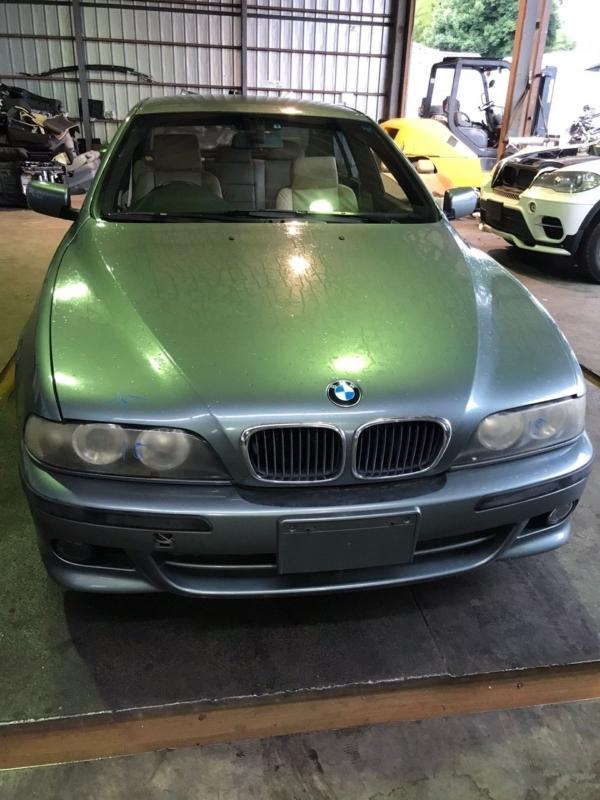 Фото донора 5