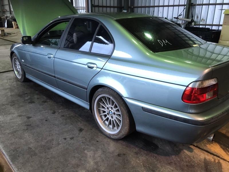 Фото донора 7