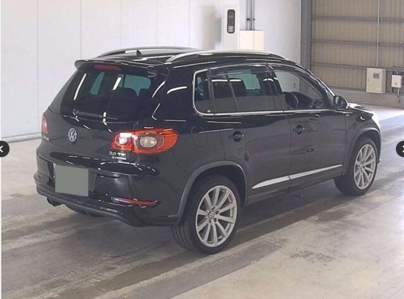 Фото донора 4