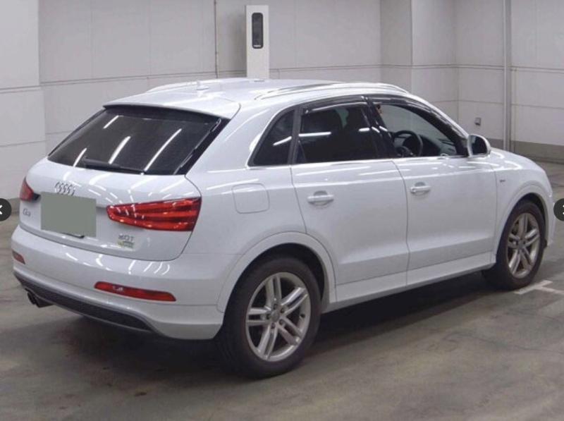 Фото донора 4