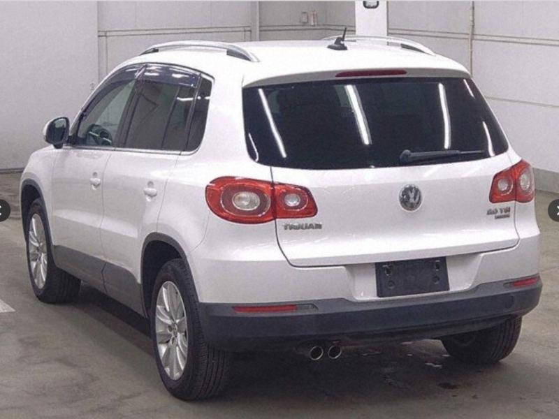 Фото донора 3