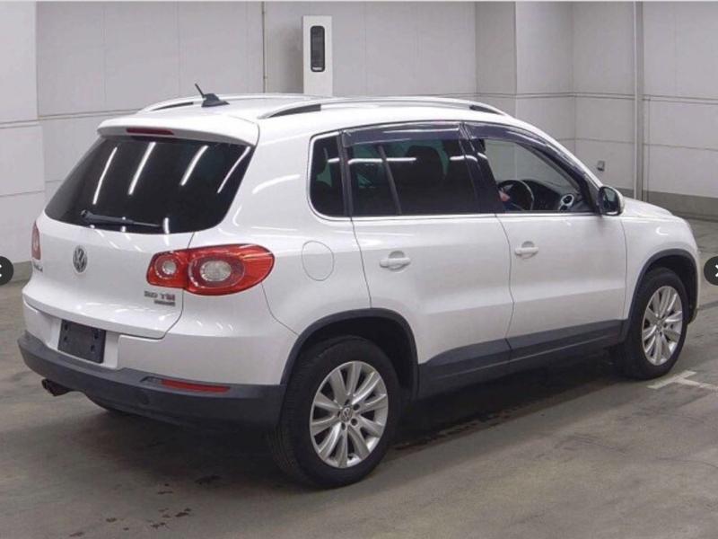 Фото донора 4