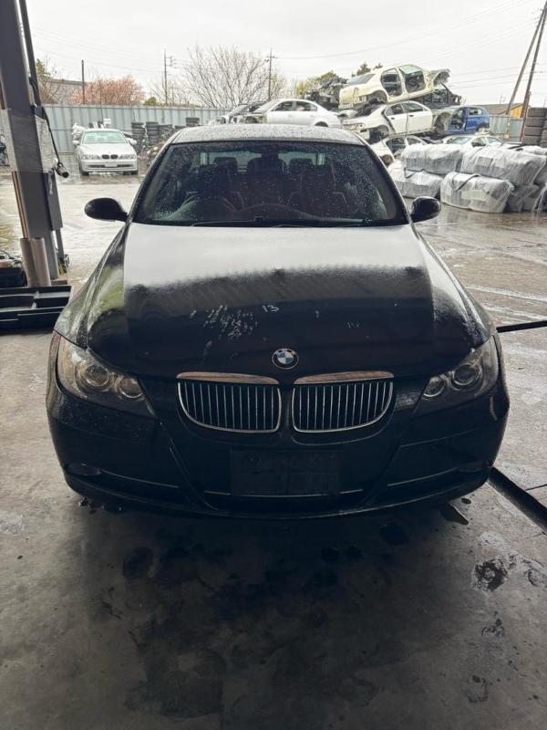 Фото донора 4