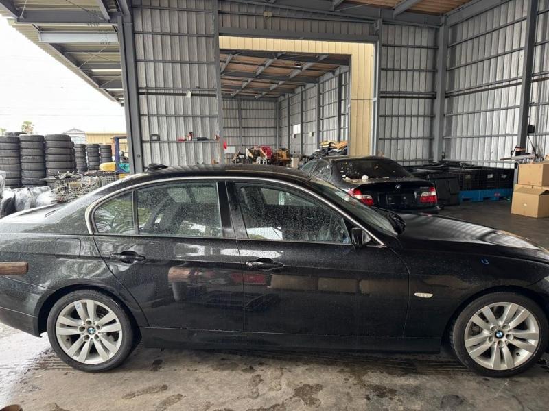 Фото донора 8