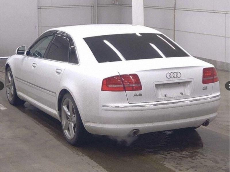 Фото донора 3