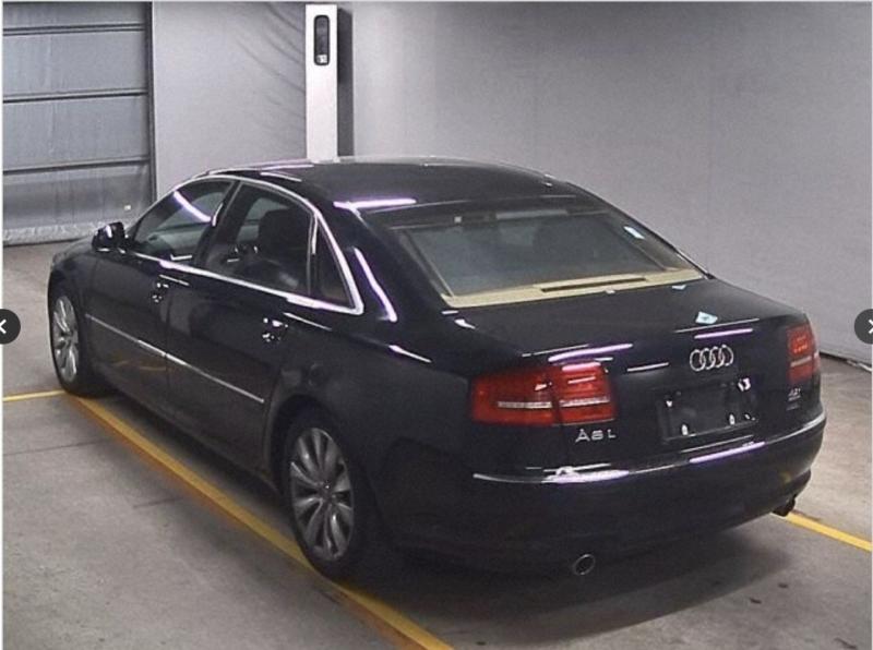 Фото донора 3