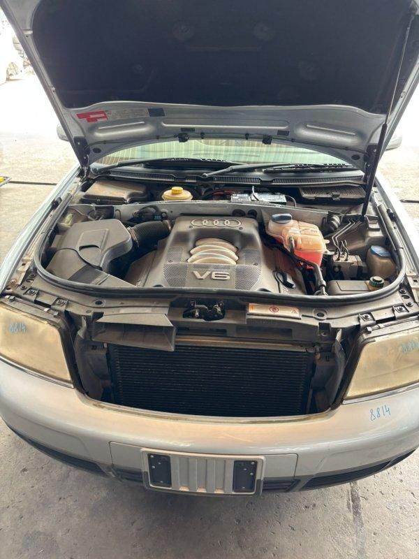 Фото донора 5