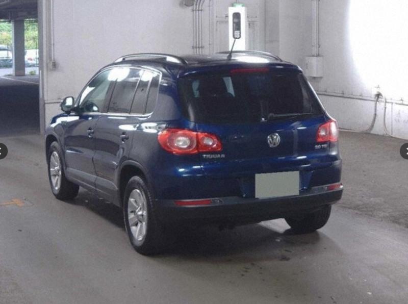 Фото донора 4