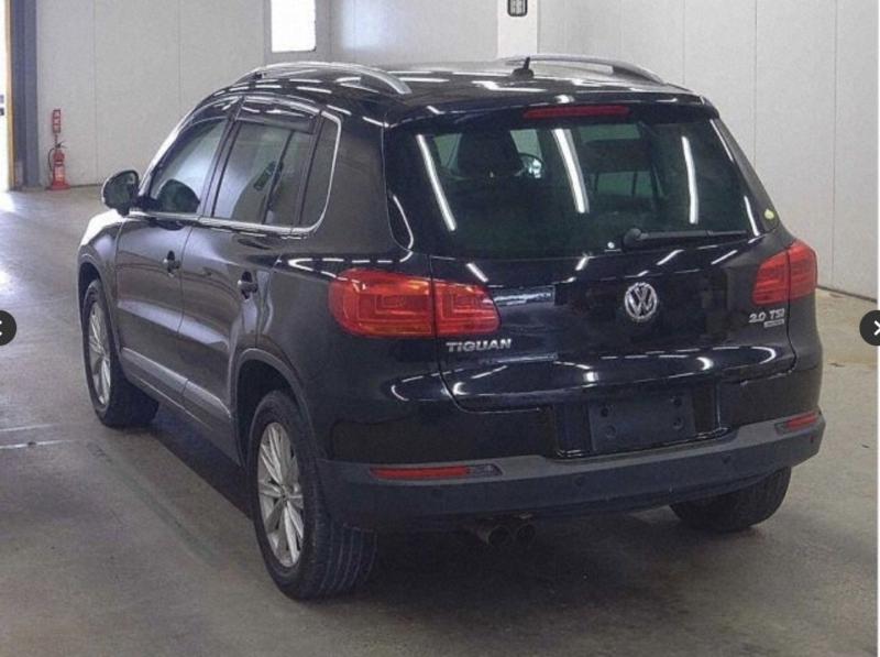 Фото донора 4