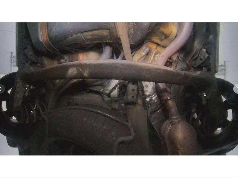 Фото донора 8