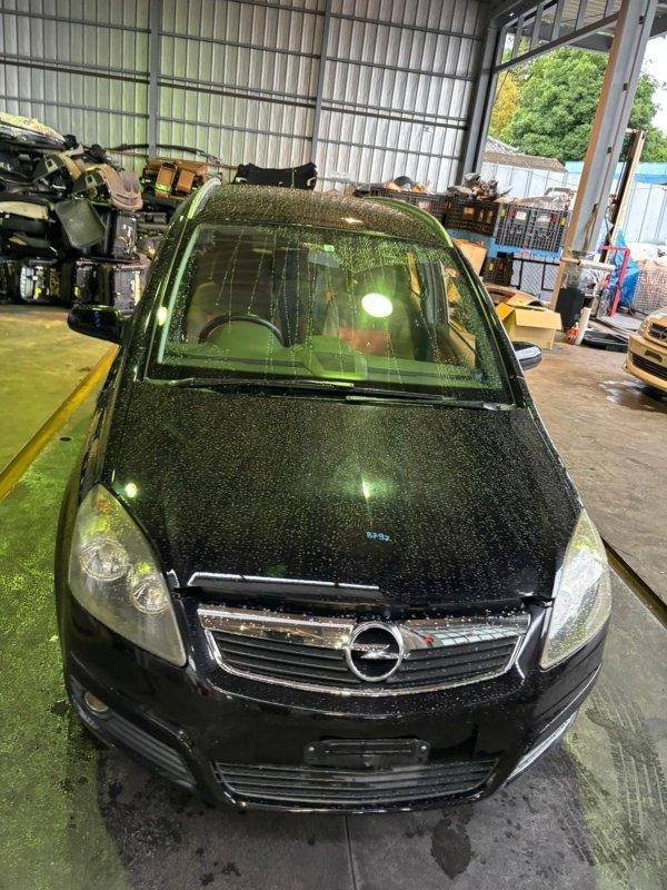 Фото донора 19