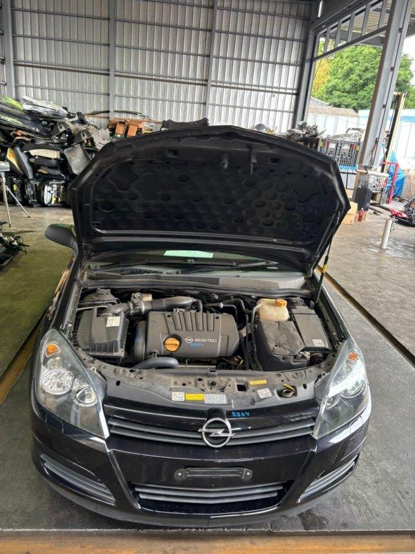 Фото донора 9