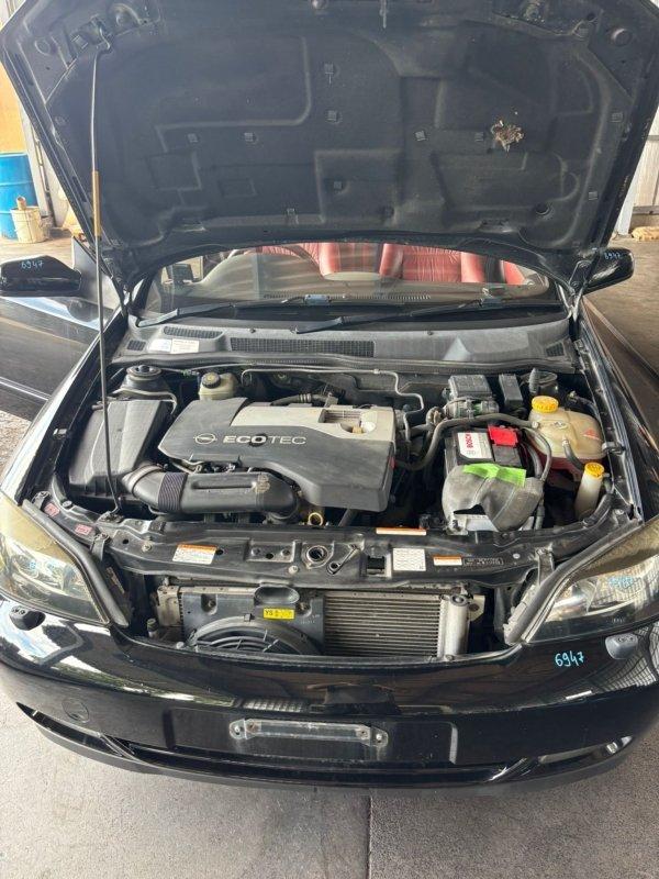 Фото донора 9