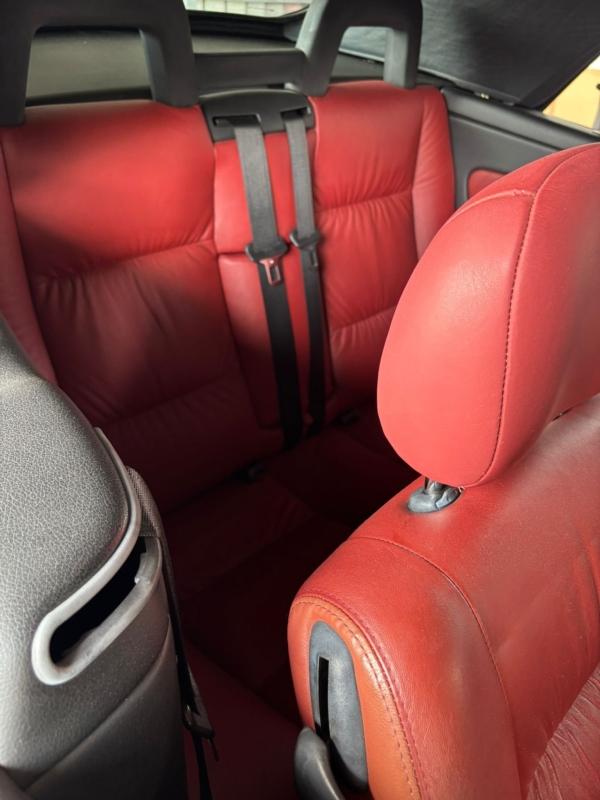 Фото донора 16