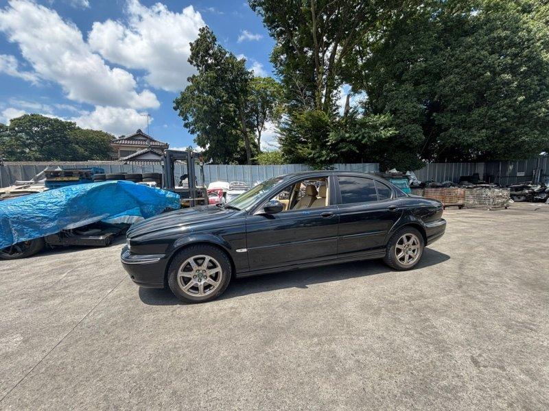 Фото донора 10